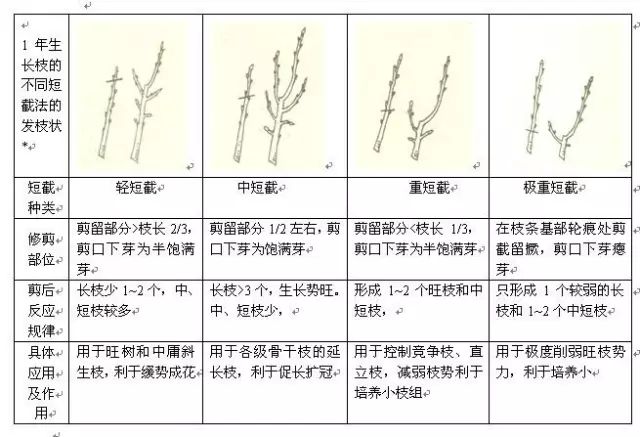 新聞